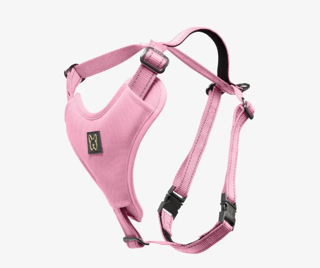 Artisan Harness
