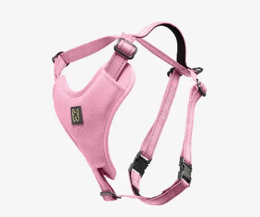 Artisan Harness
